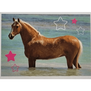 Horse Club Lieblingspferde Sticker - Nr 041