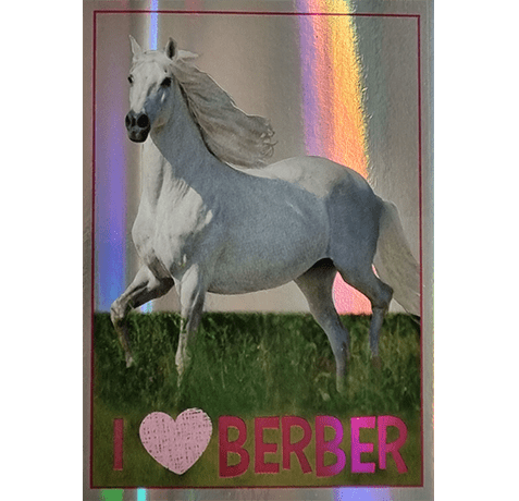 Horse Club Lieblingspferde Sticker - Nr 043