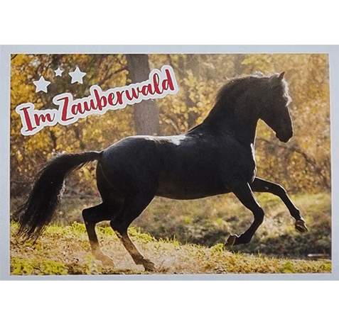 Horse Club Lieblingspferde Sticker - Nr 046
