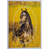 Horse Club Lieblingspferde Sticker - Nr 049