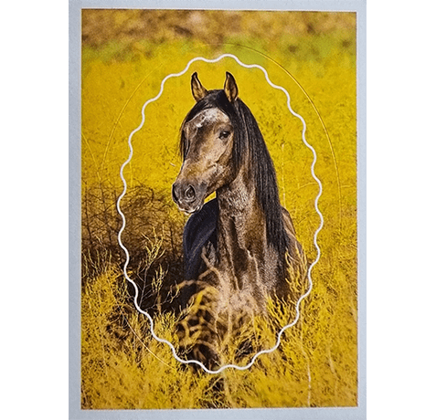 Horse Club Lieblingspferde Sticker - Nr 049