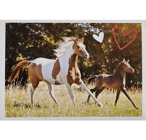 Horse Club Lieblingspferde Sticker - Nr 050