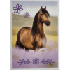 Horse Club Lieblingspferde Sticker - Nr 052