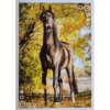 Horse Club Lieblingspferde Sticker - Nr 054
