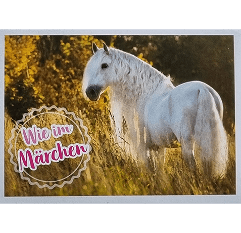 Horse Club Lieblingspferde Sticker - Nr 057
