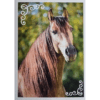 Horse Club Lieblingspferde Sticker - Nr 062