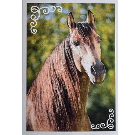 Horse Club Lieblingspferde Sticker - Nr 062