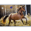 Horse Club Lieblingspferde Sticker - Nr 063