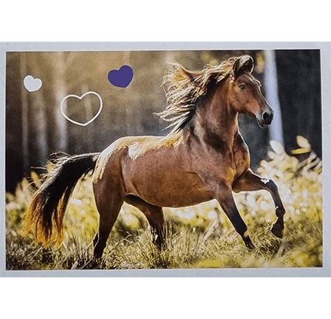 Horse Club Lieblingspferde Sticker - Nr 063