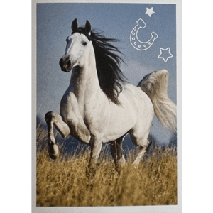 Horse Club Lieblingspferde Sticker - Nr 065