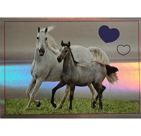 Horse Club Lieblingspferde Sticker - Nr 074