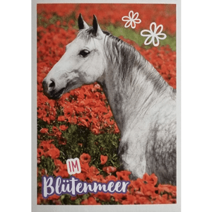Horse Club Lieblingspferde Sticker - Nr 075