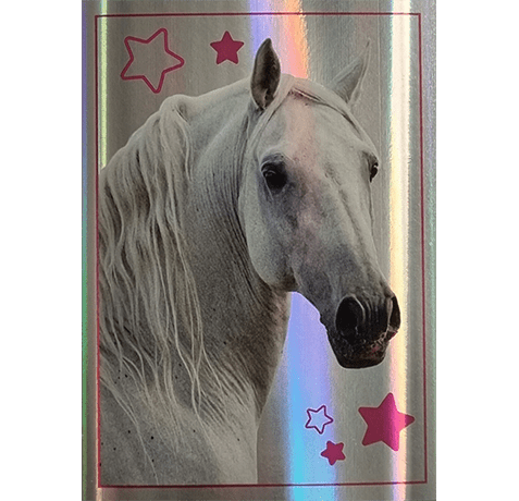 Horse Club Lieblingspferde Sticker - Nr 078