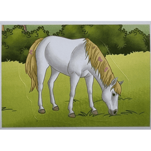 Horse Club Lieblingspferde Sticker - Nr 008