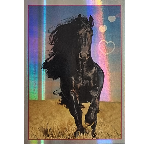 Horse Club Lieblingspferde Sticker - Nr 081
