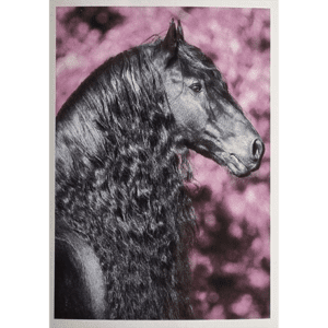 Horse Club Lieblingspferde Sticker - Nr 082