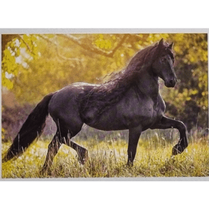 Horse Club Lieblingspferde Sticker - Nr 083