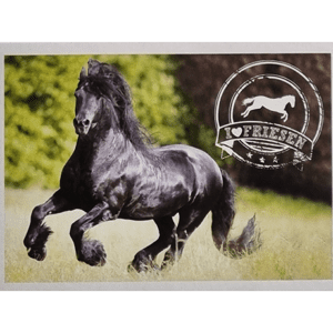 Horse Club Lieblingspferde Sticker - Nr 084
