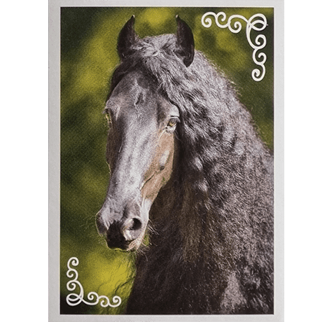 Horse Club Lieblingspferde Sticker - Nr 086