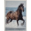 Horse Club Lieblingspferde Sticker - Nr 087