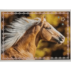 Horse Club Lieblingspferde Sticker - Nr 092