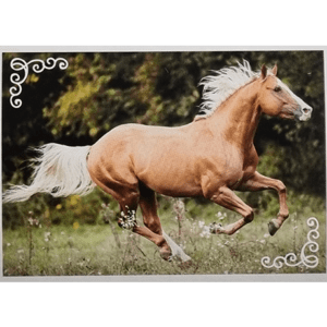 Horse Club Lieblingspferde Sticker - Nr 093