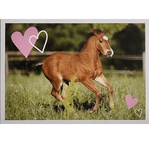 Horse Club Lieblingspferde Sticker - Nr 094
