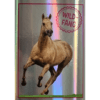 Horse Club Lieblingspferde Sticker - Nr 095