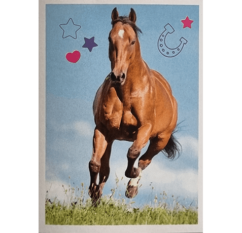 Horse Club Lieblingspferde Sticker - Nr 097