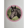 Horse Club Lieblingspferde Sticker - Nr 098