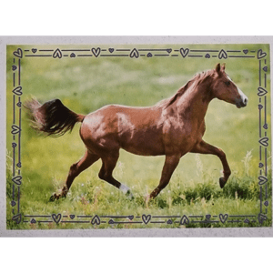 Horse Club Lieblingspferde Sticker - Nr 099