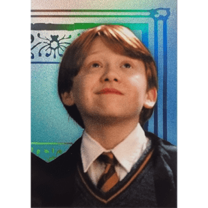 Panini Harry Potter Evolution Trading Cards Nr 003 Friends for life Silber