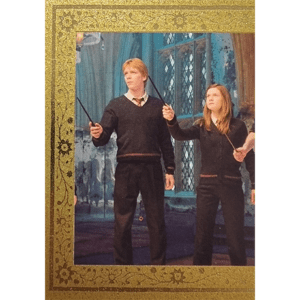 Panini Harry Potter Evolution Trading Cards Nr 230 The Weasleys Gold
