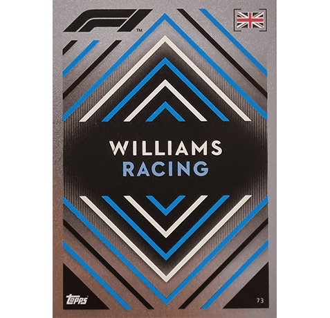 Topps Formula 1 Turbo Attax 2022 Trading Cards Nr 073 Silber