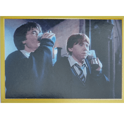 Panini Harry Potter Anthology Sticker Nr 108