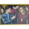 Panini Harry Potter Anthology Sticker Nr 113