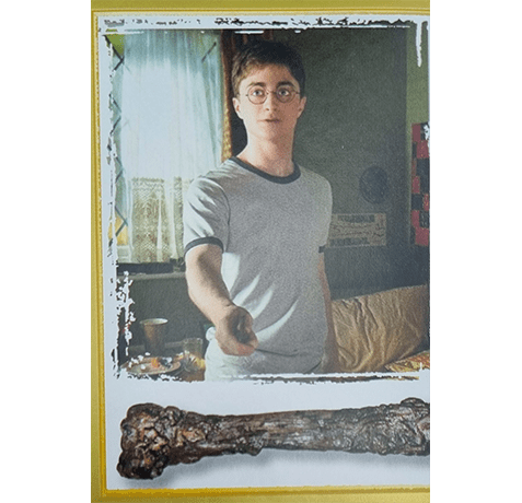 Panini Harry Potter Anthology Sticker Nr 119