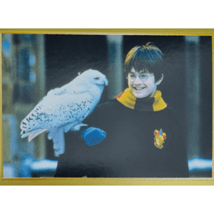 Panini Harry Potter Anthology Sticker Nr 013