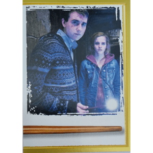 Panini Harry Potter Anthology Sticker Nr 133