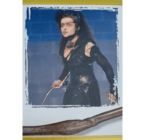 Panini Harry Potter Anthology Sticker Nr 135