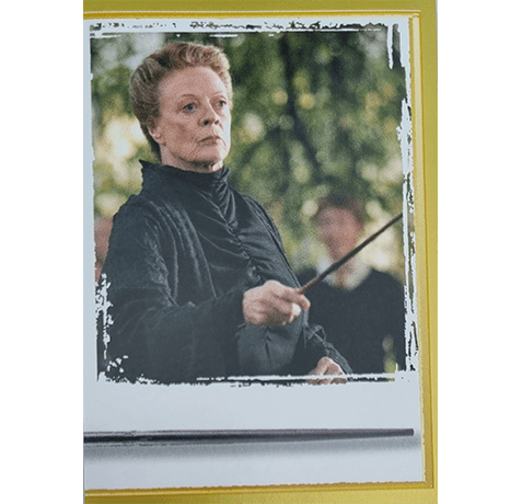 Panini Harry Potter Anthology Sticker Nr 139