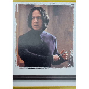 Panini Harry Potter Anthology Sticker Nr 141