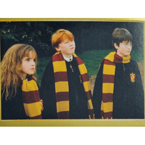 Panini Harry Potter Anthology Sticker Nr 174
