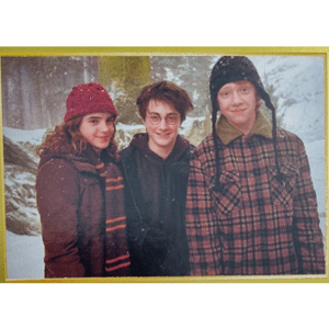 Panini Harry Potter Anthology Sticker Nr 180