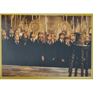 Panini Harry Potter Anthology Sticker Nr 020