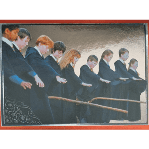 Panini Harry Potter Anthology Sticker Nr 039