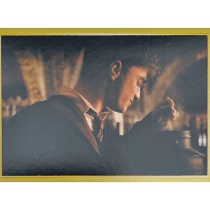 Panini Harry Potter Anthology Sticker Nr 048