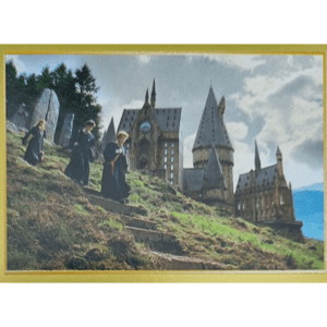 Panini Harry Potter Anthology Sticker Nr 050