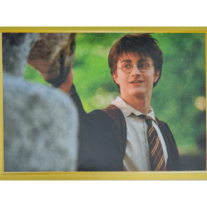 Panini Harry Potter Anthology Sticker Nr 053