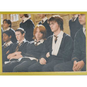 Panini Harry Potter Anthology Sticker Nr 059